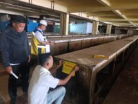 Penataan Pasar Terong Dimulai, Kios Tak Aktif dan Menunggak Disegel Tim Perumda Pasar Makassar